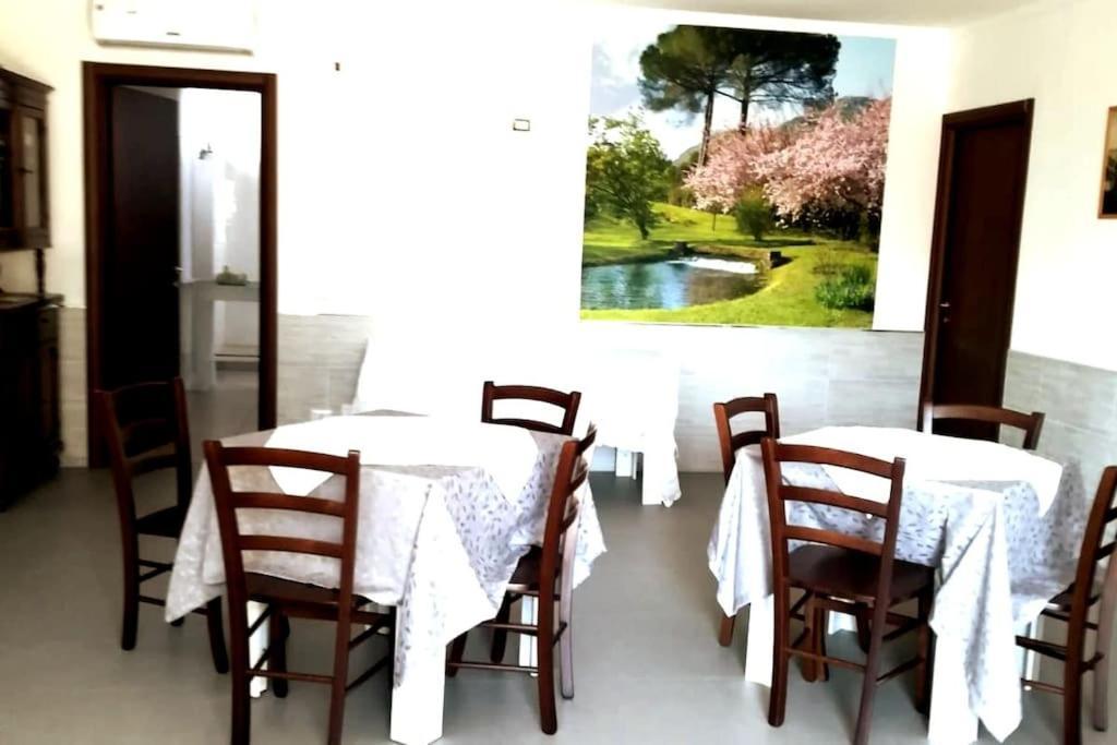 Old Club Casa Vacanze Carlo Trani Aprilia Luaran gambar